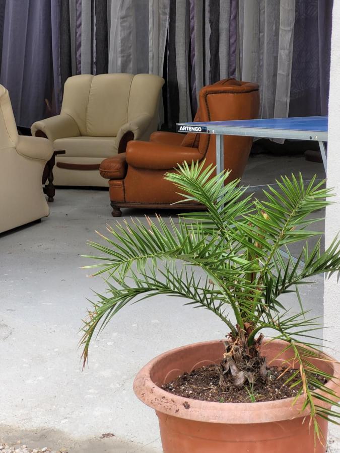 Studio Sequoia Au Pied Du Chateau Saumur Exterior photo